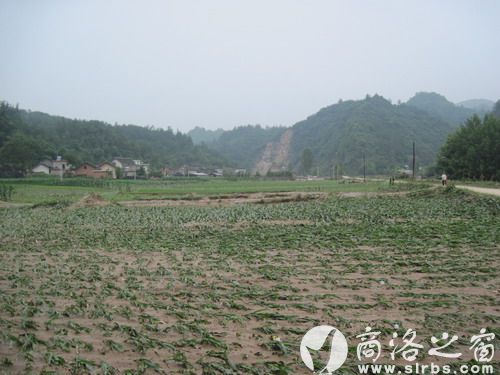 農(nóng)作物受災(zāi)920公頃，其中：絕收210公頃，水毀河堤72公里、耕地210公頃，灌渠24公里，自來水管線180公里。圖為趙