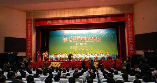 第二屆商洛核桃節(jié)開幕