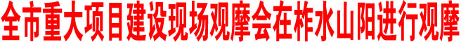 商洛市重大項(xiàng)目建設(shè)現(xiàn)場(chǎng)觀摩會(huì)在柞水山陽進(jìn)行觀摩