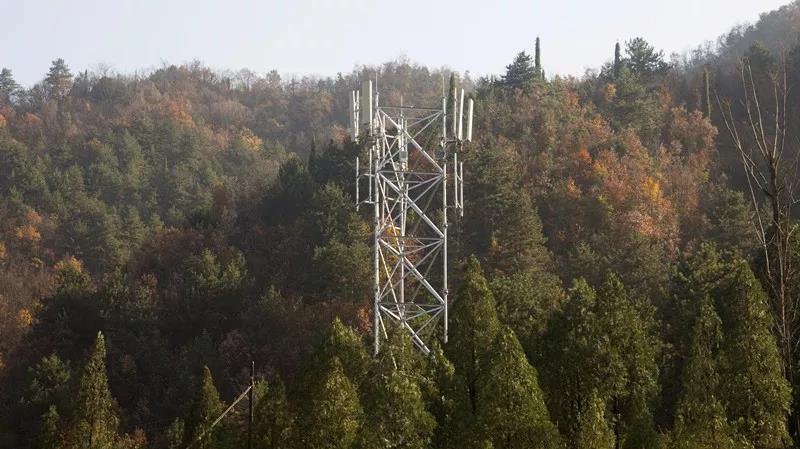 1密林深處，豎立起格外醒目的移動4G基站.jpg