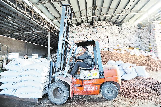 商洛一民營企業(yè)核桃殼產(chǎn)品暢銷多國