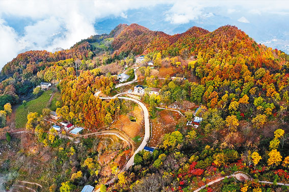 聚焦家鄉(xiāng)美 網傳正能量