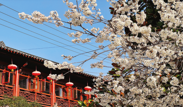 鳥語(yǔ)花香漫商山