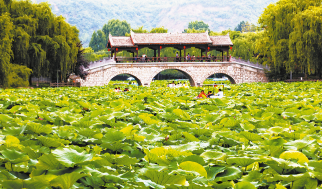 好山好水好氣候 商洛如何借“綠”生“金”？