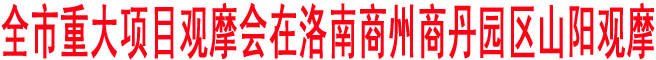 商洛市重大項(xiàng)目觀摩會(huì)在洛南商州商丹園區(qū)山陽觀摩