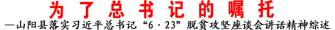 —山陽(yáng)縣落實(shí)習(xí)近平總書(shū)記“6·23”脫貧攻堅(jiān)座談會(huì)講話(huà)精神綜述