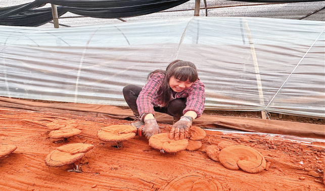 產(chǎn)業(yè)發(fā)展旺 群眾增收穩(wěn)