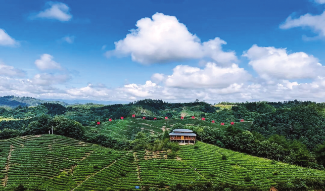 守護(hù)綠水青山 繪就生態(tài)畫(huà)卷
