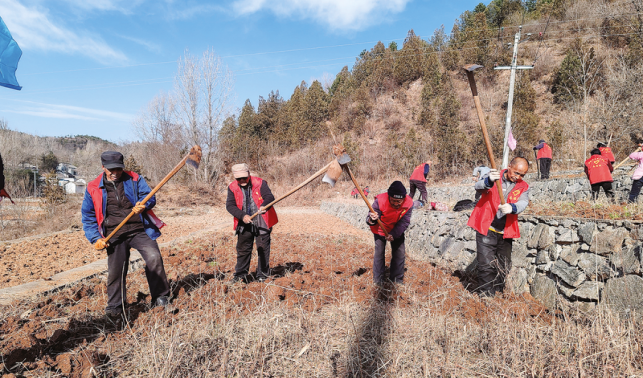 百畝農(nóng)田煥新顏，洛南冬修渠壩備耕忙