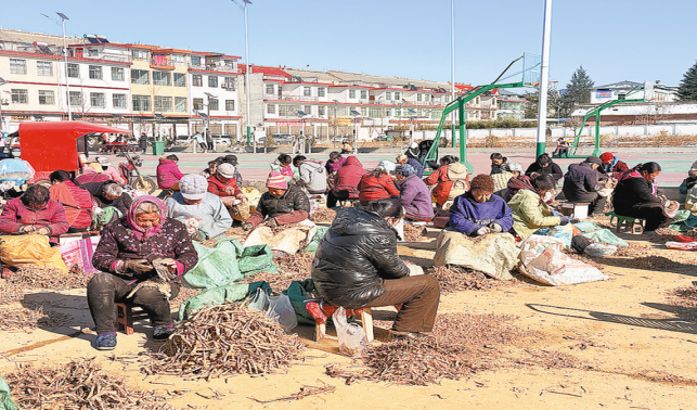 古城鎮(zhèn)：小桔?！肮巍背鲂腋Ｂ?>
        <div   id=