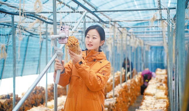 直播鏡頭里的家鄉(xiāng)情