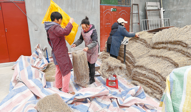 一縷粉條香 濃濃年味情