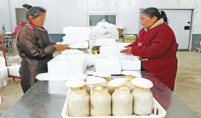 人勤春早復(fù)工忙 就近就業(yè)暖人心