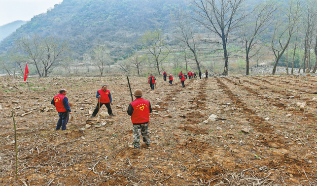 雙喜村“三變”記