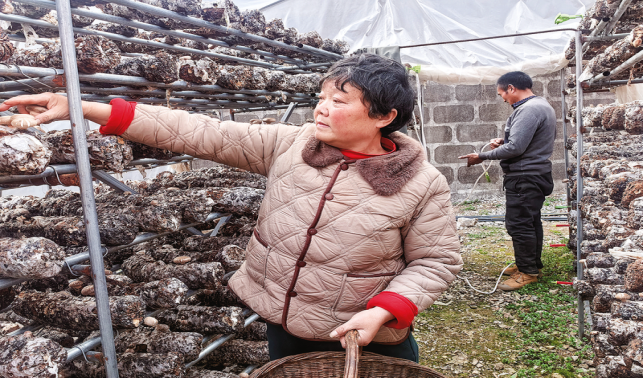 王閻鎮(zhèn) 做強產(chǎn)業(yè)穩(wěn)增收