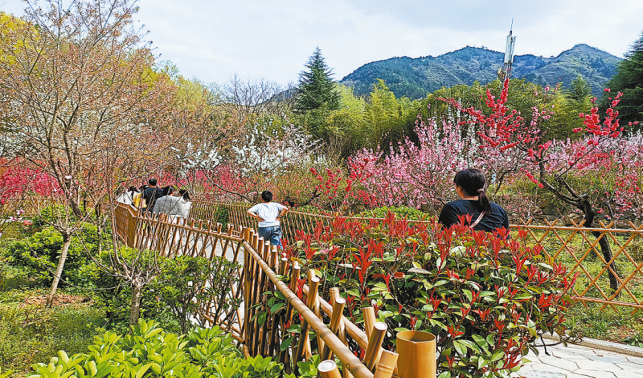 以花為媒撬動(dòng)“美麗經(jīng)濟(jì)”