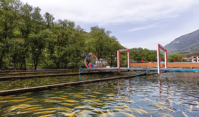 高峰鎮(zhèn) 活水潤(rùn)山鄉(xiāng) 服務(wù)促振興