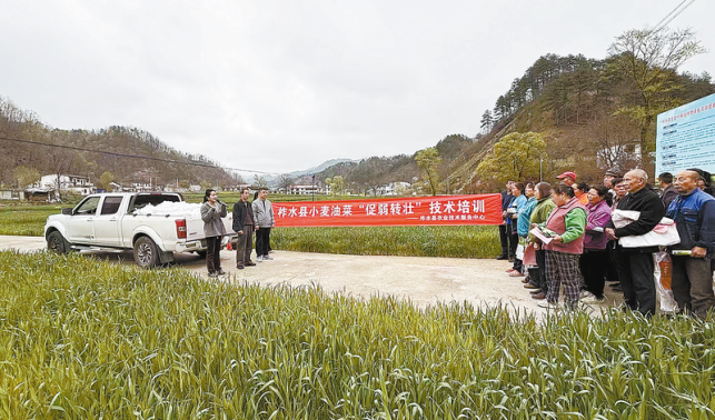 農(nóng)技服務(wù)到田間