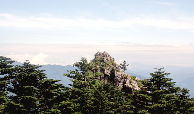 向綠而行開(kāi)新局 向新突破譜華章