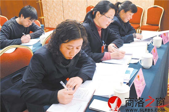 柞水團(tuán)代表正在認(rèn)真撰寫(xiě)建議。 （記者 李敏 費(fèi)翔 攝）