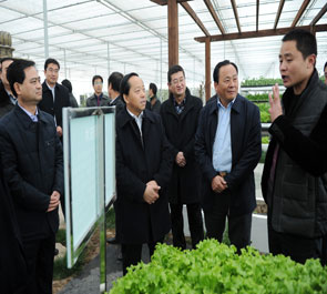 洛南：全力實施四大計劃奮力做強(qiáng)四大區(qū)塊