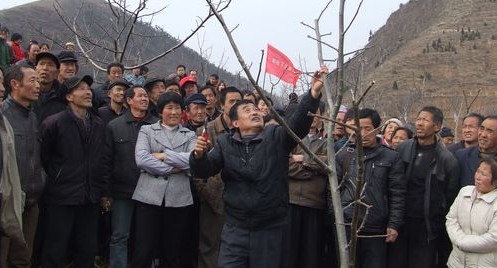 林業(yè)科技服務(wù)隊深入鄉(xiāng)村辦培訓(xùn)