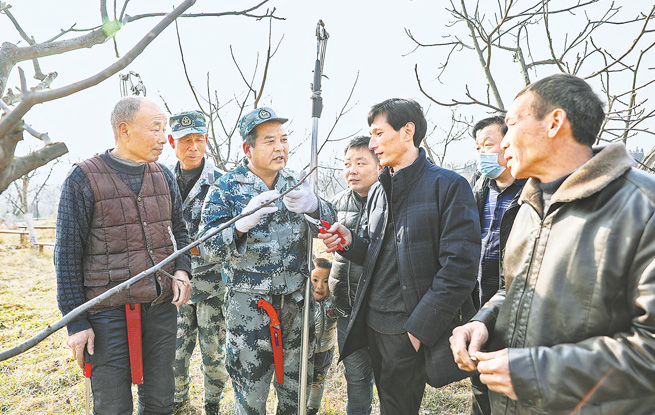 實施核桃科管 促進增產(chǎn)增收