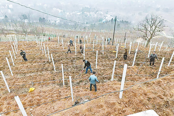 不負農(nóng)時春耕忙