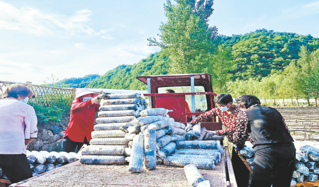 青山鎮(zhèn) 推動重點(diǎn)企業(yè)復(fù)工復(fù)產(chǎn)