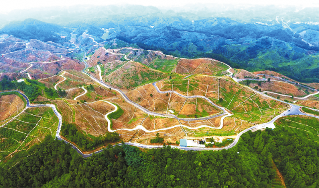 商南 四大名城繪錦繡 奮楫揚(yáng)帆開(kāi)新局