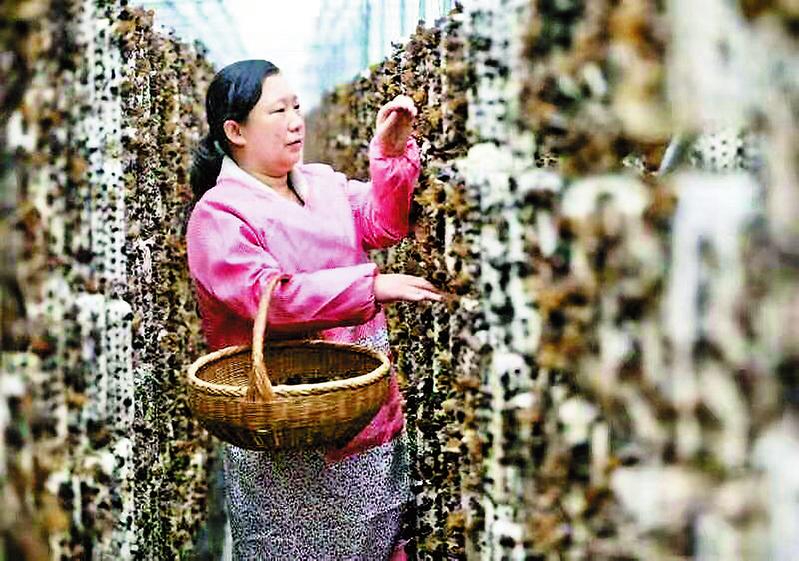 奮進新時代 綻放她魅力