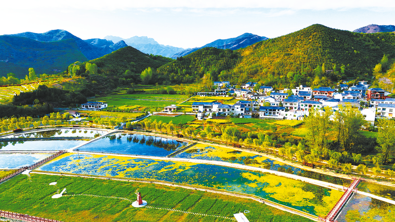 農(nóng)文旅融合，“融”出好光景