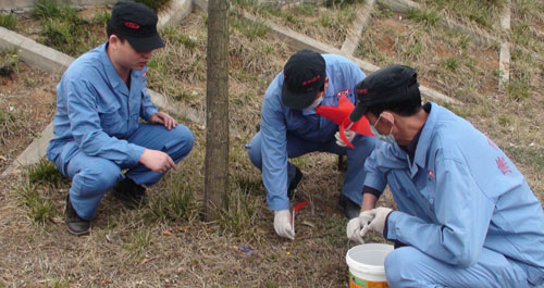 丹鳳對丹江河綠地進(jìn)行專業(yè)病媒生物消殺