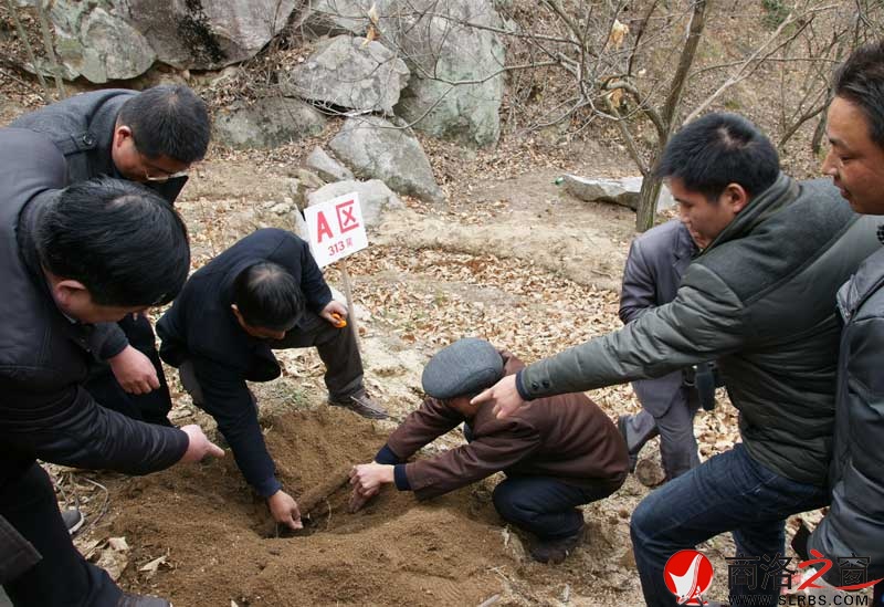 商南縣政府開展送政策、送技術(shù)、送溫暖活動(dòng)