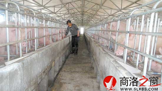 依靠融資發(fā)展起來(lái)的宏源牧業(yè)公司