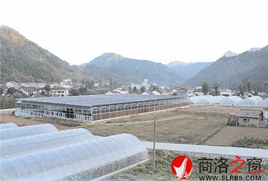 現(xiàn)代農(nóng)業(yè)園區(qū)，農(nóng)民抱團(tuán)闖市場的基地。