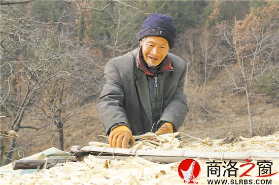 天氣暖和了，何長(zhǎng)財(cái)一邊曬太陽，一邊收拾挖回來的藥材。