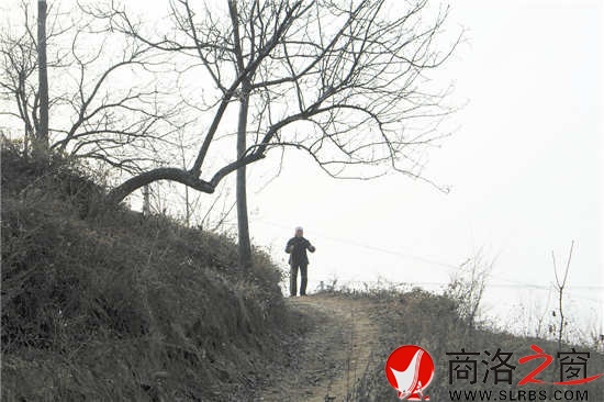 我們離開(kāi)時(shí)，吳桂香送出很遠(yuǎn)。我們已經(jīng)走遠(yuǎn)，山梁上那孤獨(dú)的身影久久不肯離去。