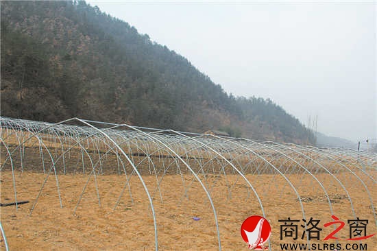 韓子坪食用菌產(chǎn)業(yè)打出了自己的品牌，越來越多的農(nóng)戶愿意加入合作社。圖為正在擴(kuò)建中的香菇基地，鋼筋骨架已經(jīng)搭好。