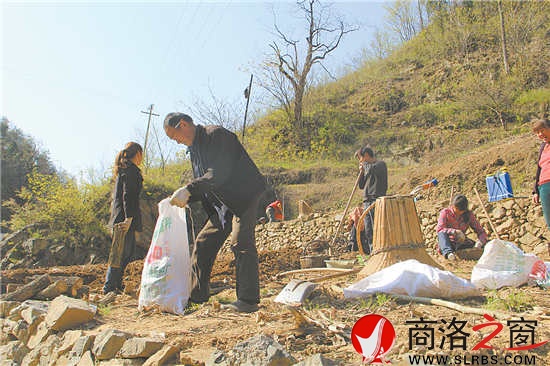正是種豬苓的時候,田地里隨處可見種植的農(nóng)戶。