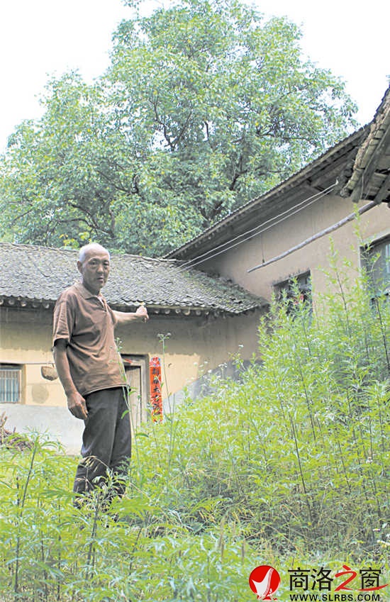 在村里，十有八九的農(nóng)家院落已長滿了蒿草。留守在村里的人路過這些院落，會(huì)不由自主地想起院落主人。