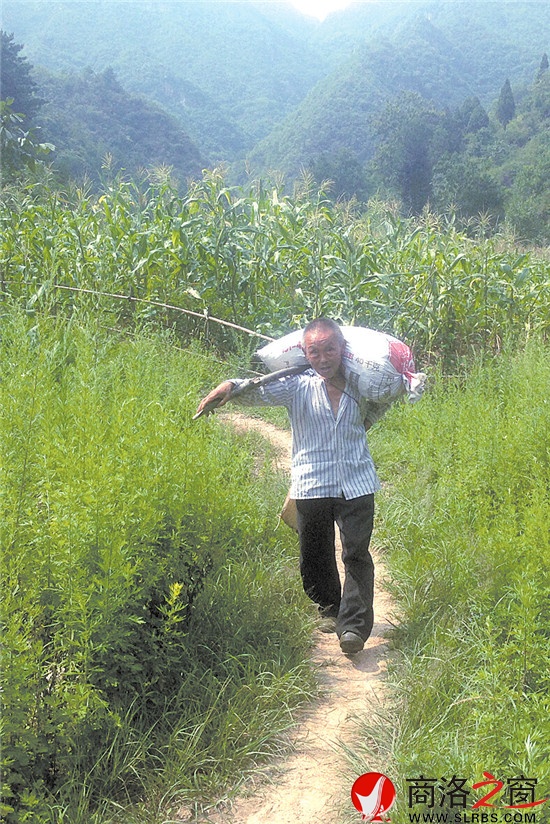 在山林里辛苦了一天，扛著沉甸甸的山貨，臉上的喜悅心情溢于言表。