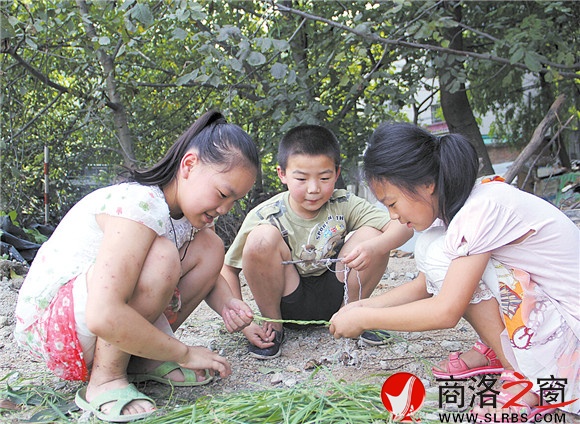 黃沙嶺腳下，胡昊和小伙伴們正在給一只小鳥用草編籠子。