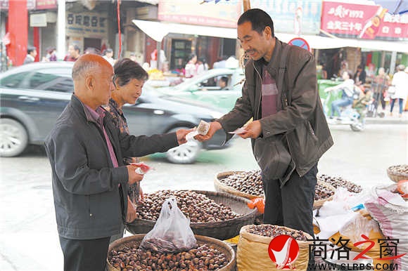 鎮(zhèn)安大板栗在城里很吃香