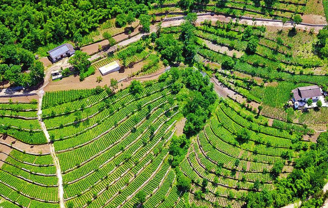 中國(guó)康養(yǎng)旅游強(qiáng)縣 中國(guó)康養(yǎng)宜居?？h