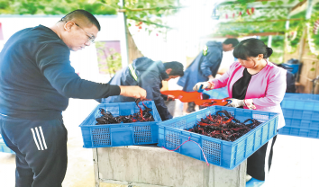探索混養(yǎng)新模式 鼓起農戶錢袋子