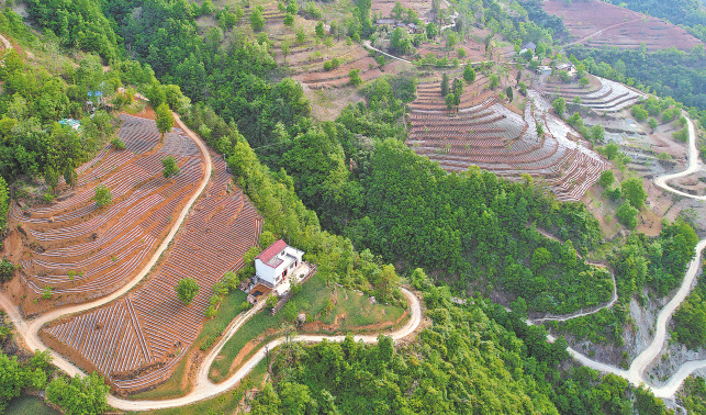 大地詩(shī)行營(yíng)勝村