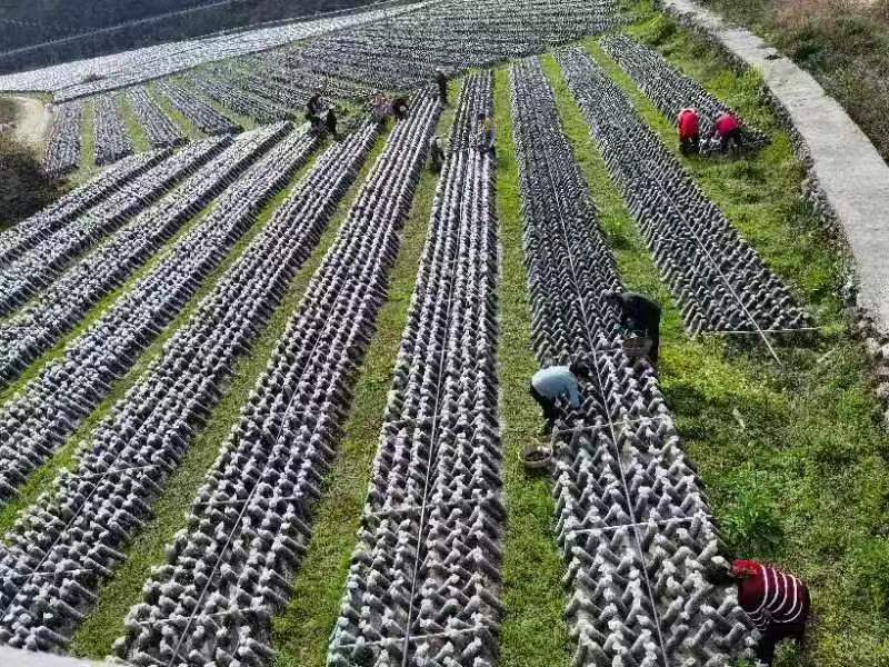 20230714171610030-31-a4551.jpg 20230714171610030-31-a4551.jpg